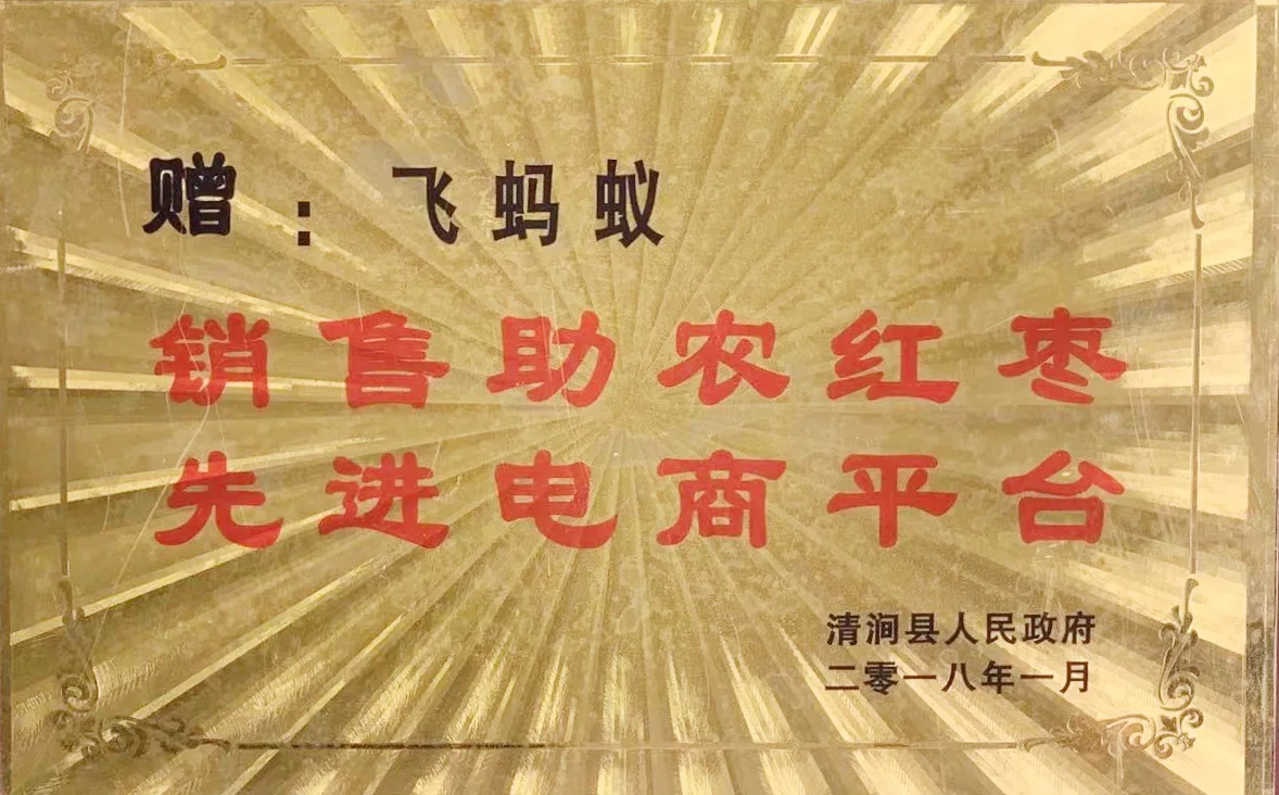 销售助农红枣-先进电商平台